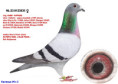 /album/para-c-1/nl-23-9123835-jpg1/